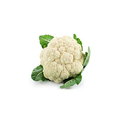 BLUMENKOHL
