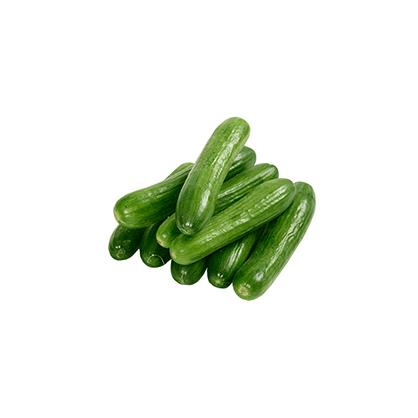 CUCUMBER