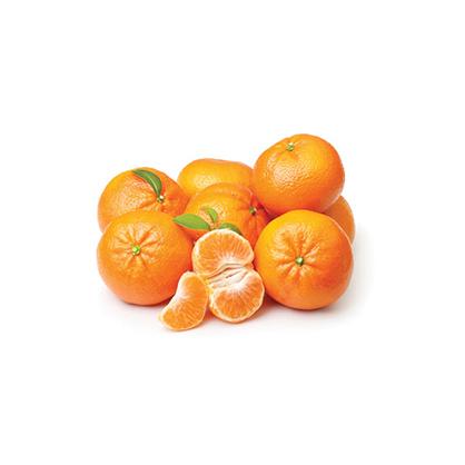 SATSUMA